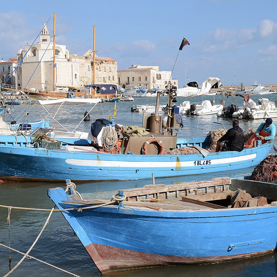 radici-trani-centro-storico
